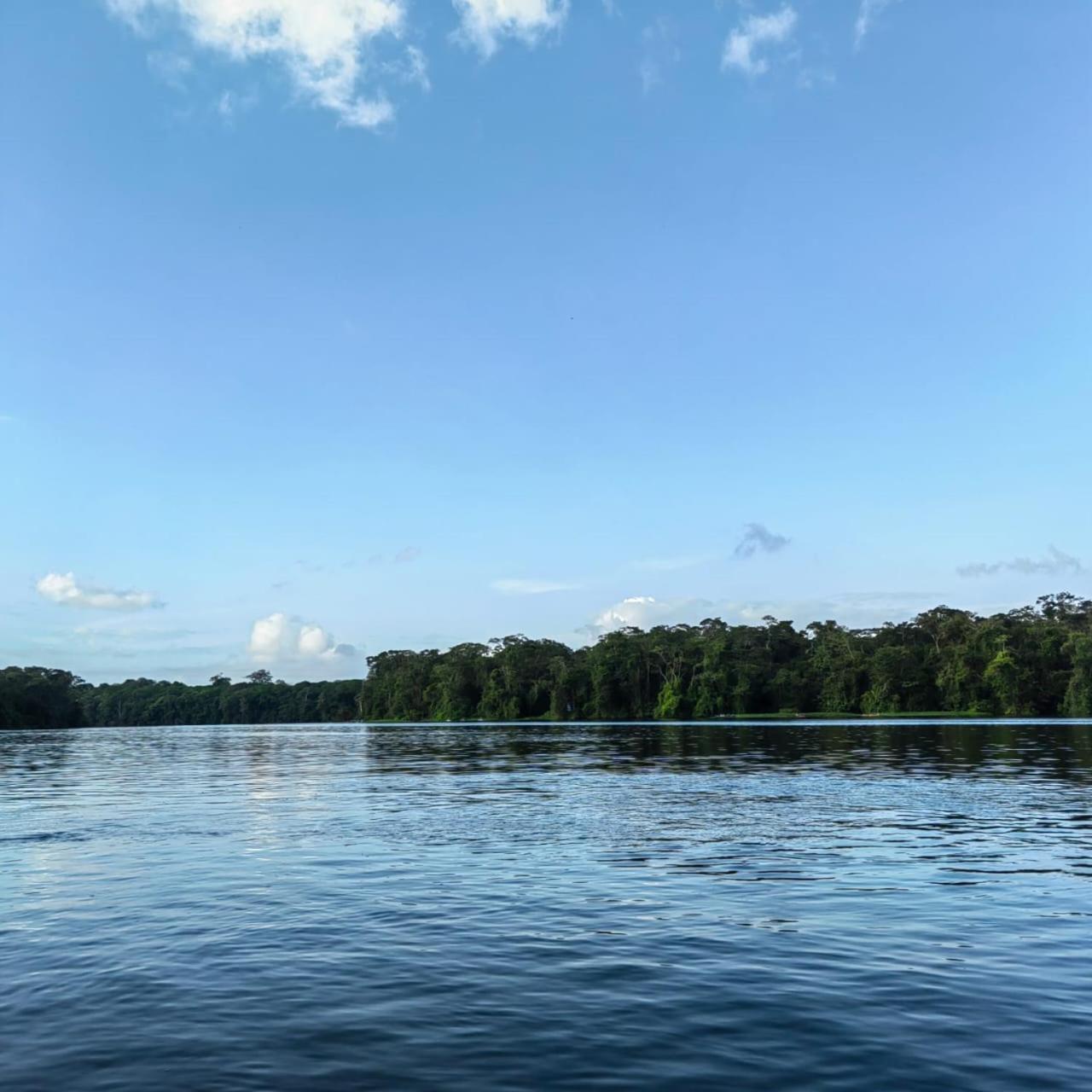 Tortuguero Villas Екстериор снимка