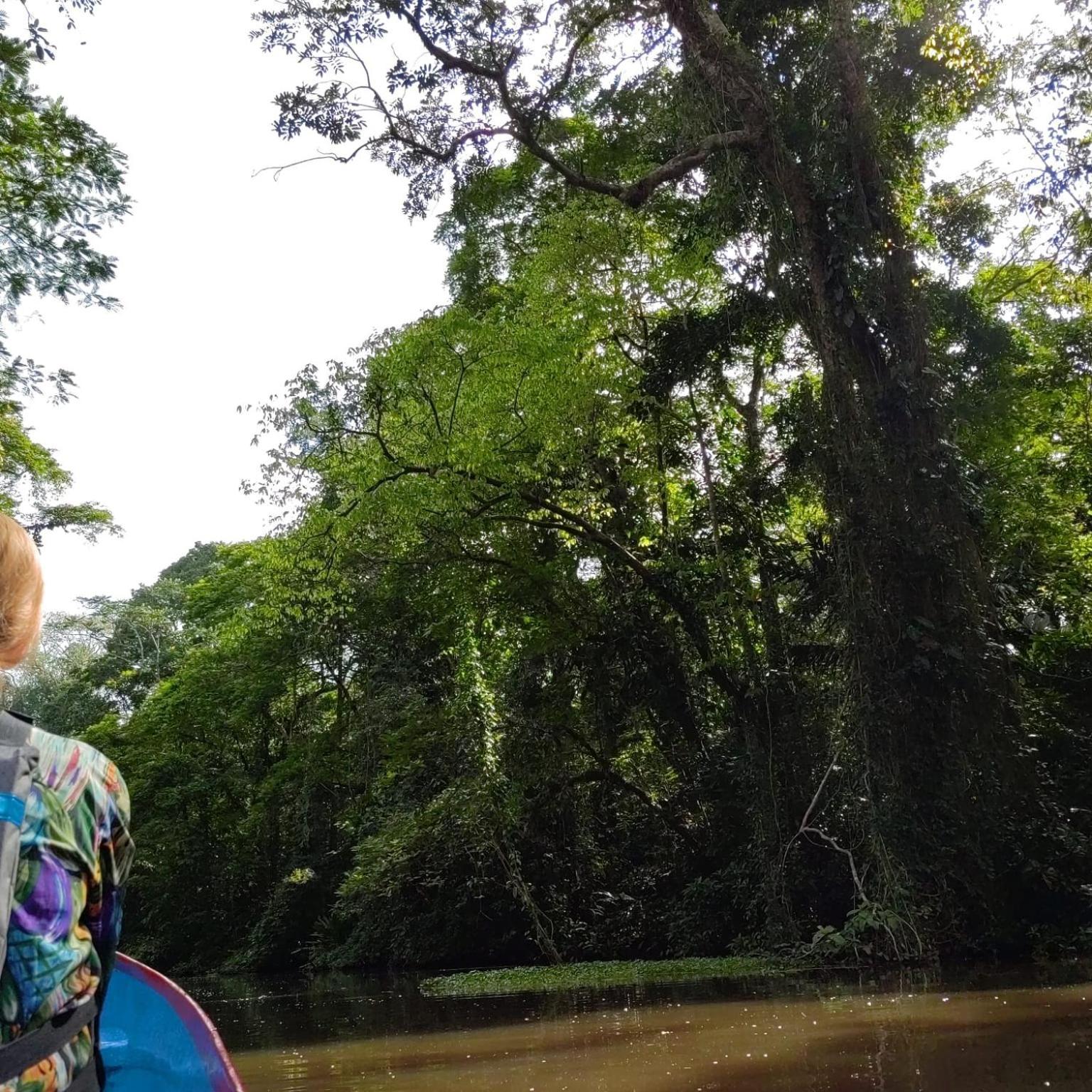 Tortuguero Villas Екстериор снимка