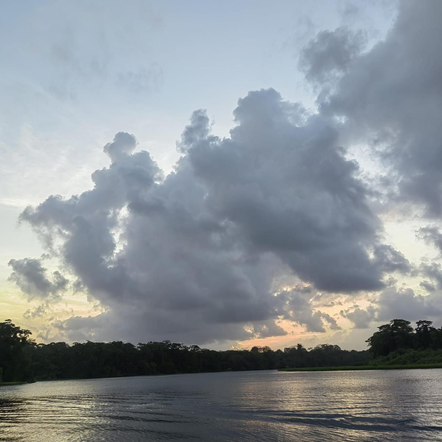 Tortuguero Villas Екстериор снимка