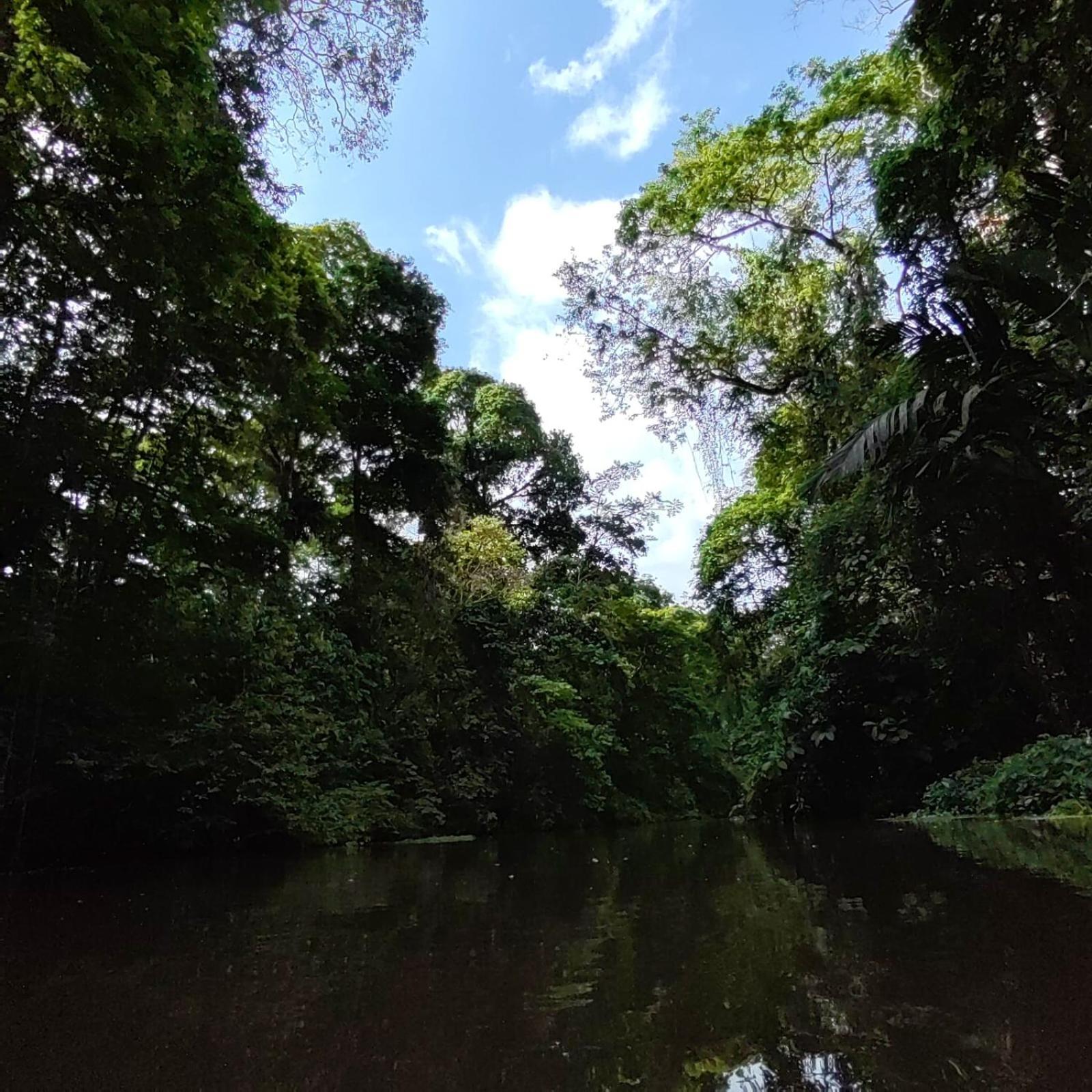 Tortuguero Villas Екстериор снимка